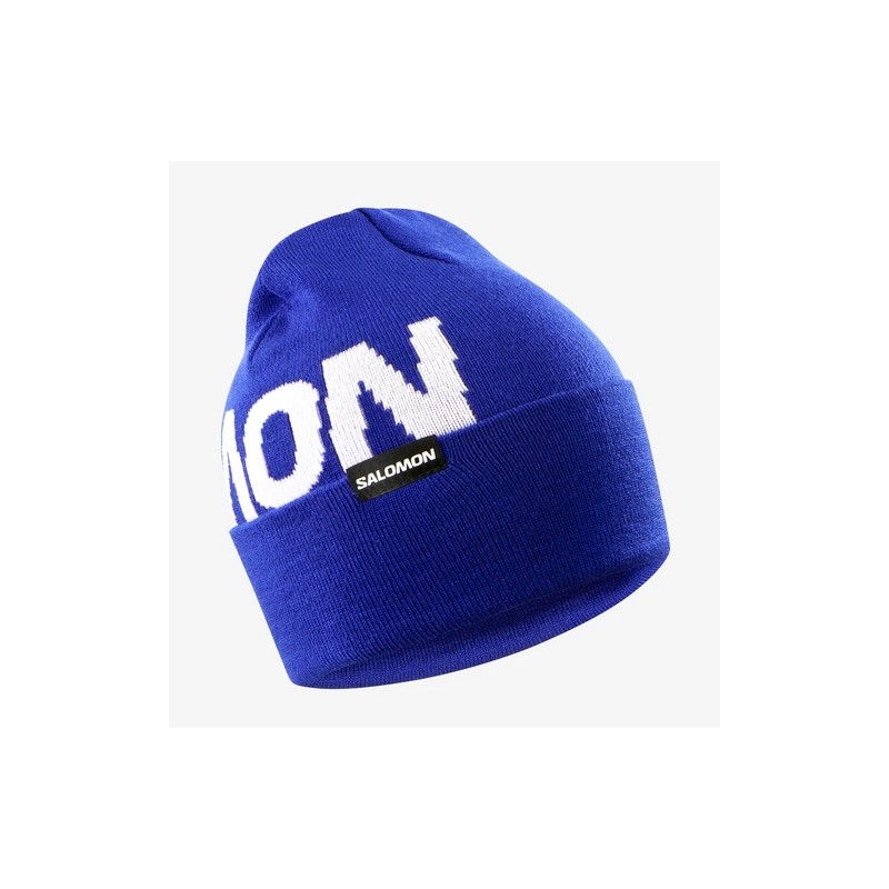 SALOMON HERMITAGE BEANIE Surf The Web