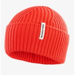 SALOMON SNOWBIRD BEANIE...